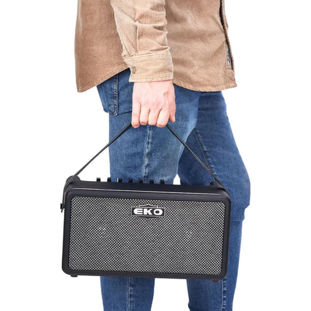 EKO Baio Amp 25 - COMBO PORTATILE PER CHITARRA 2 X 5" 25 WATT