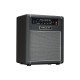 HIWATT Bulldog 30 - Combo Per Basso 1 Cono 10" Potenza 30 WATT