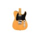 FENDER American Professional Classic TELE MN 3TS - CHITARRA ELETTRICA BUTTERSCOTCH BLONDE