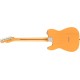 FENDER American Professional Telecaster MN BTB - CHITARRA ELETTRICA BUTTERSCOTCH BLONDE
