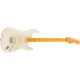 FENDER American Professional Strato MN OWT - CHITARRA ELETTRICA OLYMPIC WHITE