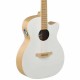 APPLAUSE BY OVATION AEO-69-6P - Chitarra acustica preamplificata colore Jump Blank Canvas