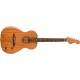 FENDER Highway Series Parlor RW All mahogany - CHITARRA ELETTROACUSTICA IN MOGANO