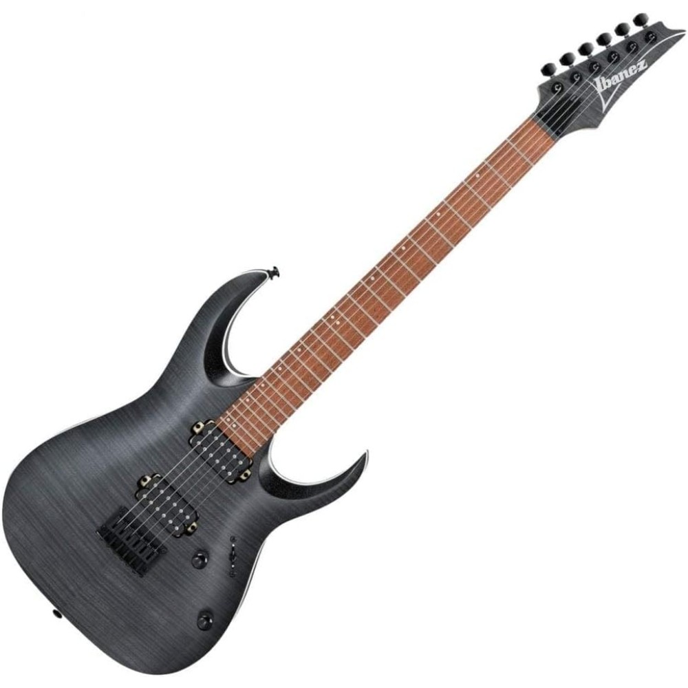 IBANEZ RGA42FM TGF - CHITARRA ELETTRICA TRANSPARENT GRAY FLAT
