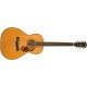 FENDER PS 220E Parlor Natural - CHITARRA ACUSTICA ELETTRIFICATA COLOR NATURAL CON CASE RIGIDO