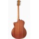 Taylor 114ce Sapele