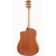 Taylor 110ce-Sapele