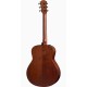 TAYLOR GTe Mahogany