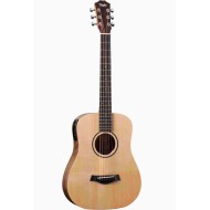 Taylor BT1e