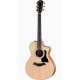Taylor 112ce-Sapele