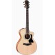Taylor 112ce-Sapele
