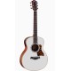 TAYLOR GS Mini-e Special Edition Trans White