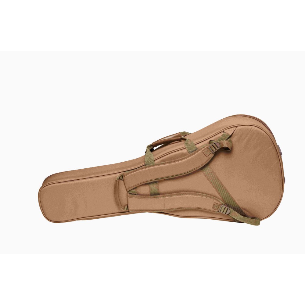 TAYLOR GS Mini-e Special Edition Trans Black