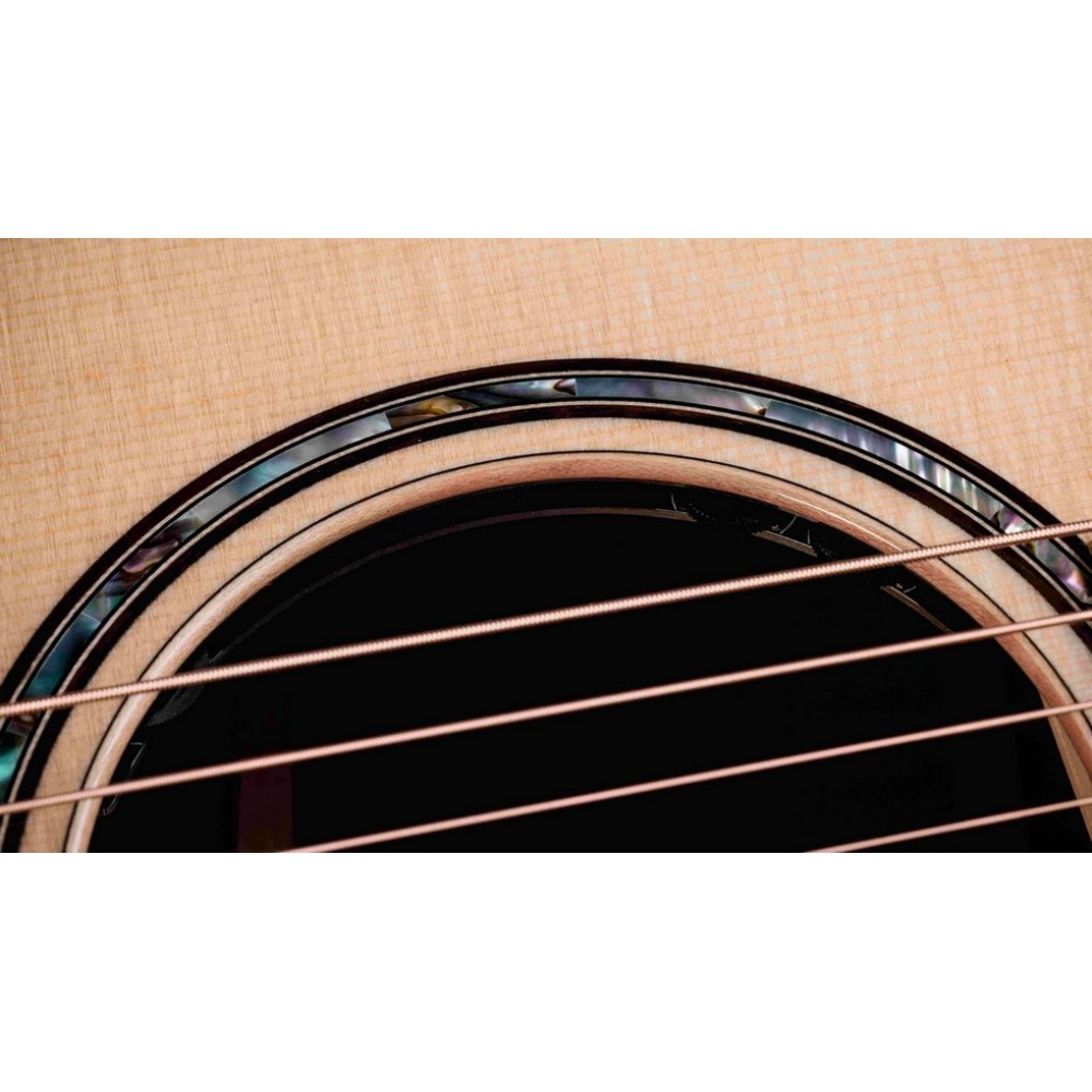 Taylor 814ce Next Generation