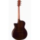 TAYLOR 414ce Next Generation