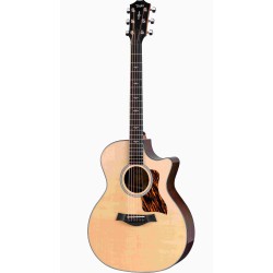 TAYLOR 414ce Next Generation