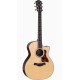 TAYLOR 414ce Next Generation
