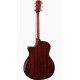Taylor 314ce 2026 Next Generation