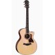 Taylor 314ce 2026 Next Generation