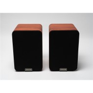 AIWA ASP A200BR - DIFFUSORE AUDIO ATTIVO