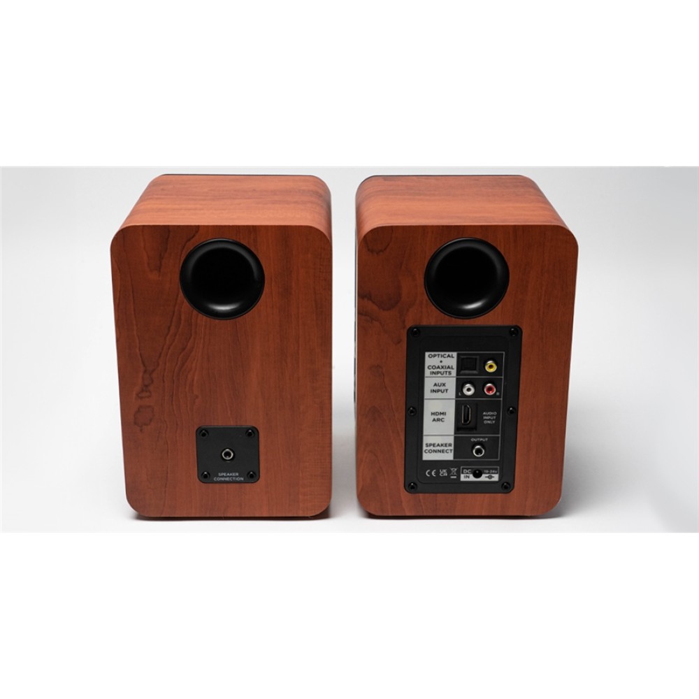 AIWA ASP A200BR - DIFFUSORE AUDIO ATTIVO