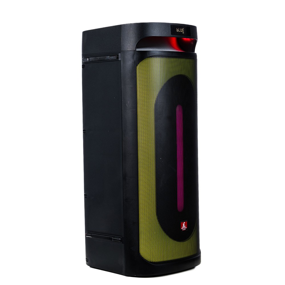 AUDIODESIGN DJ 208 - DIFFUSORE PORTATILE CON USB E BT DA 600 WATT