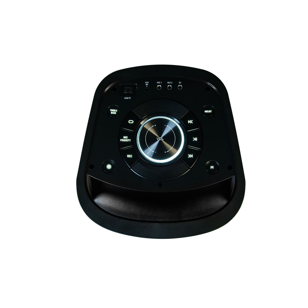 AUDIODESIGN DJ 208 - DIFFUSORE PORTATILE CON USB E BT DA 600 WATT