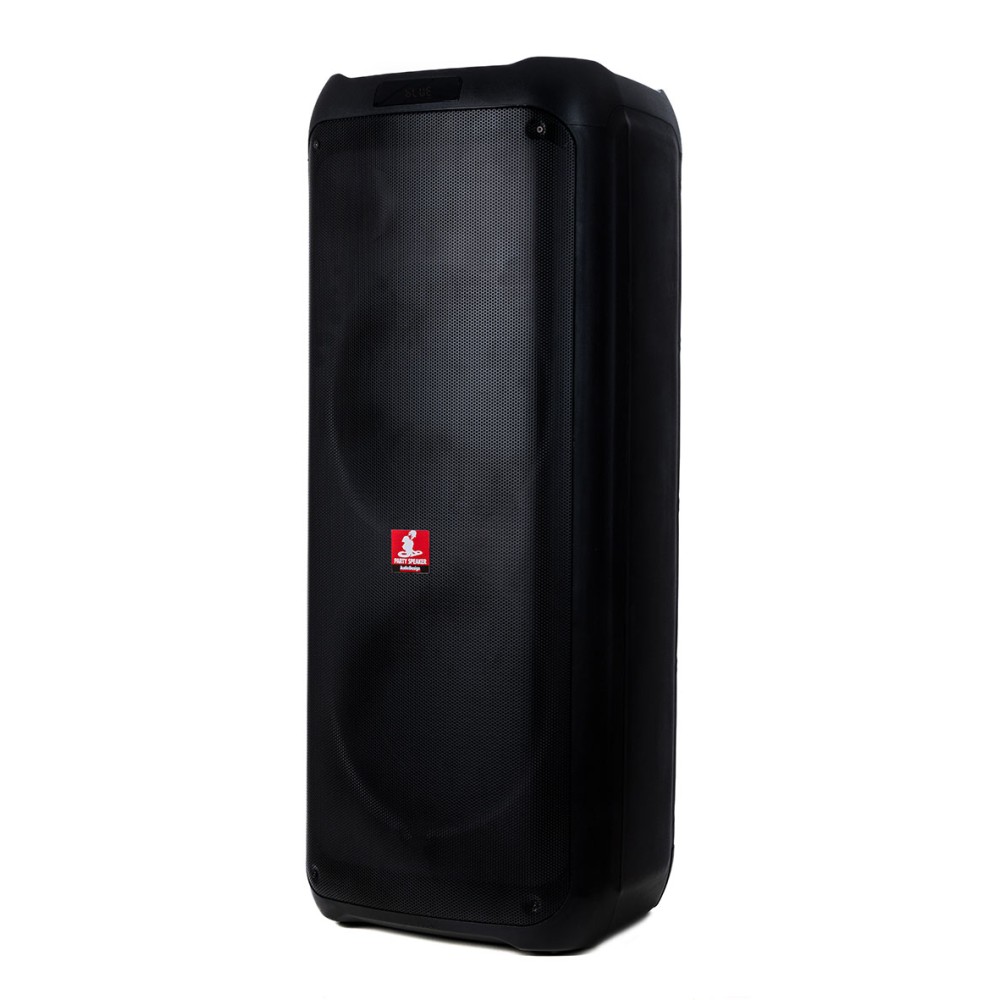 AUDIODESIGN DJ 212S - DIFFUSORE PORTATILE CON USB E BT DA 1050 WATT