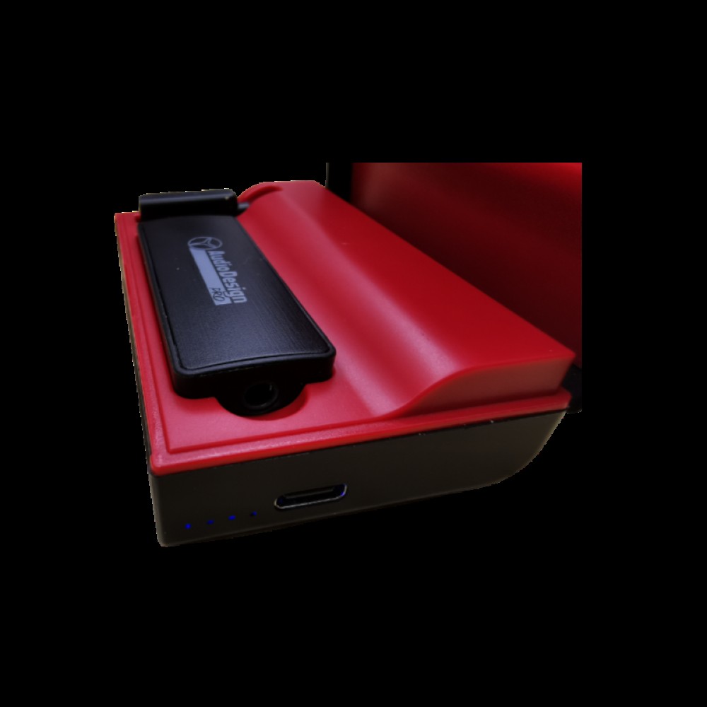 AUDIODESIGN PMU LV2.4G - MICROFONO DA AMBIENTE WIRELESS CON RICEVITORE USB C