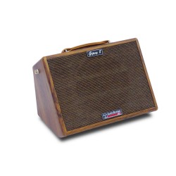 AUDIODESIGN Gipsy 8 MKII - AMPLIFICATORE A BATTERIA PER STRUMENTI ACUSTICI