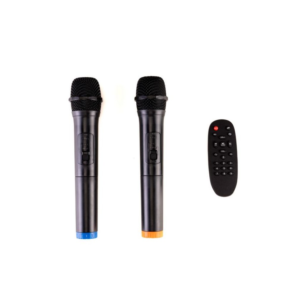 AUDIODESIGN M3 12 W/L - Diffusore Portatile Amplificato USB e BT con 2 Microfoni a Gelato Wireless