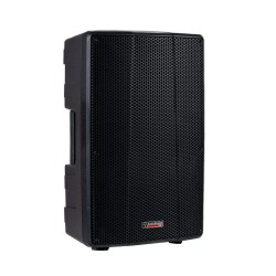 AUDIODESIGN D LIVE 10 DSP - DIFFUSORE AMPLIFICATO CONO 10" 1200 WATT