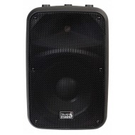 Italian Stage IS SPX10A - CASSA BIAMPLIFICATA 10" (300 WATT)
