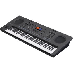 YAMAHA PSR SX620 - WORKSTATION ARRANGER A 61 TASTI CON GENERAZIONE AWM E DISPLAY A COLORI