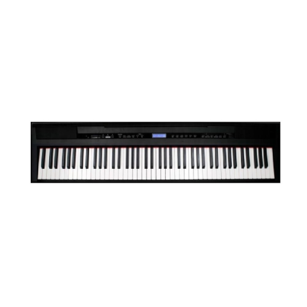 ECHORD SP10 BLACK - Pianoforte Digitale 88 Tasti Pesati Color Nero
