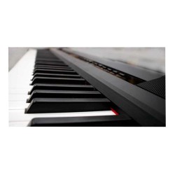 ECHORD DP1 - PIANOFORTE DIGITALE 88 TASTI PESATI COLORE NERO
