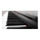 ECHORD DP1 - PIANOFORTE DIGITALE 88 TASTI PESATI COLORE NERO
