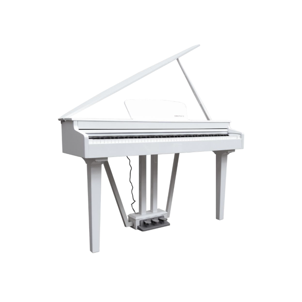 ECHORD GP 10W  White - PIANO DIGITALE A CODINO COLORE BIANCO 88 TASI PESATI