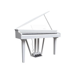 ECHORD GP 10W  White - PIANO DIGITALE A CODINO COLORE BIANCO 88 TASI PESATI