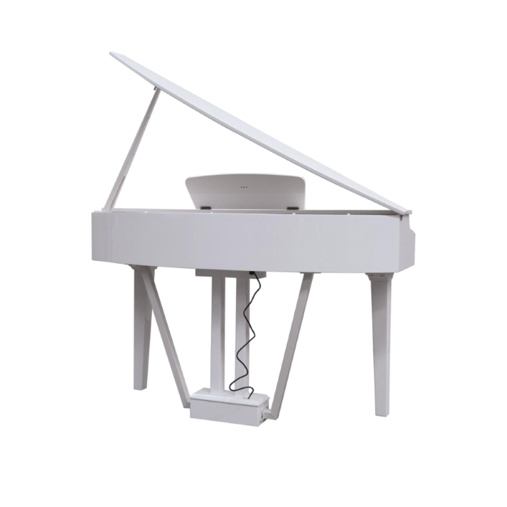 ECHORD GP 10W  White - PIANO DIGITALE A CODINO COLORE BIANCO 88 TASI PESATI