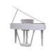 ECHORD GP 10W  White - PIANO DIGITALE A CODINO COLORE BIANCO 88 TASI PESATI