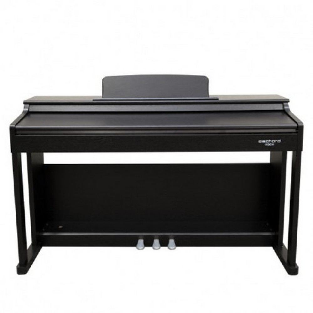 ECHORD DPX100B Satin Black - PIANOFORTE DIGITALE 88 TASTI PESATI NERO