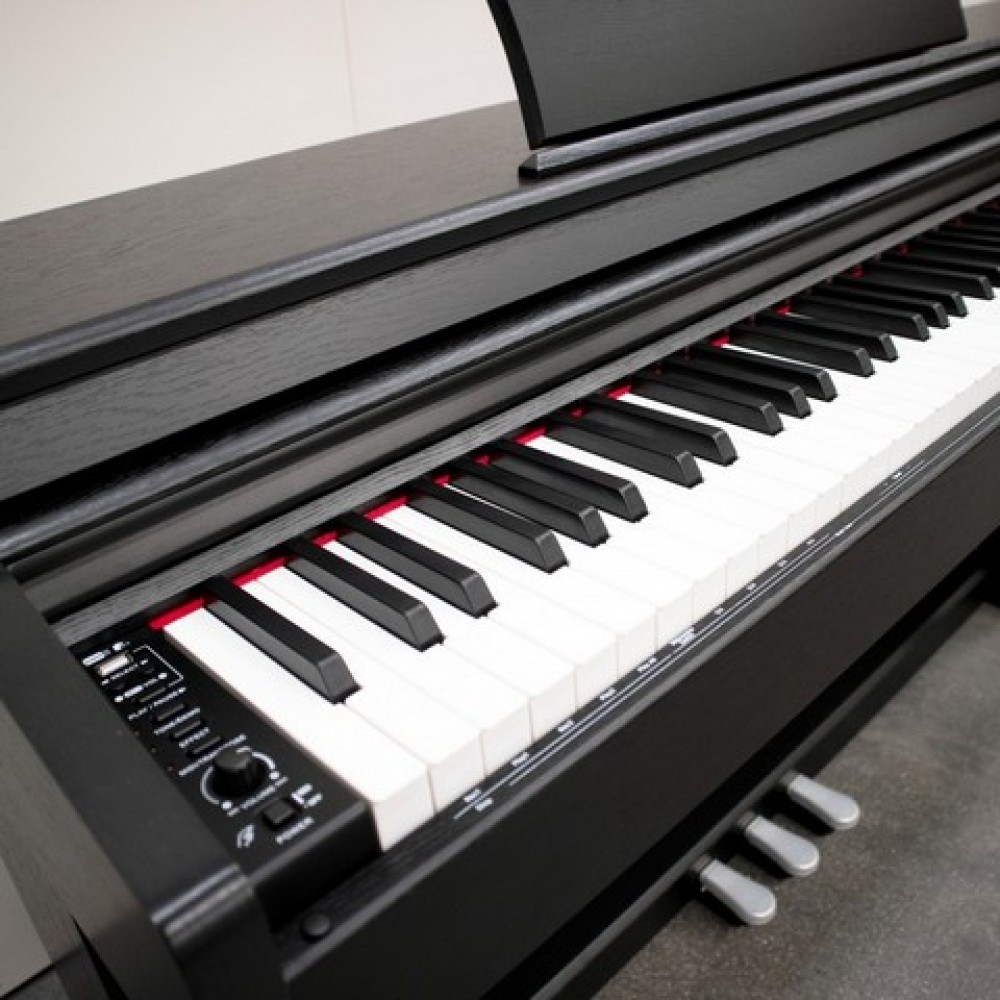 ECHORD DPX100B Satin Black - PIANOFORTE DIGITALE 88 TASTI PESATI NERO