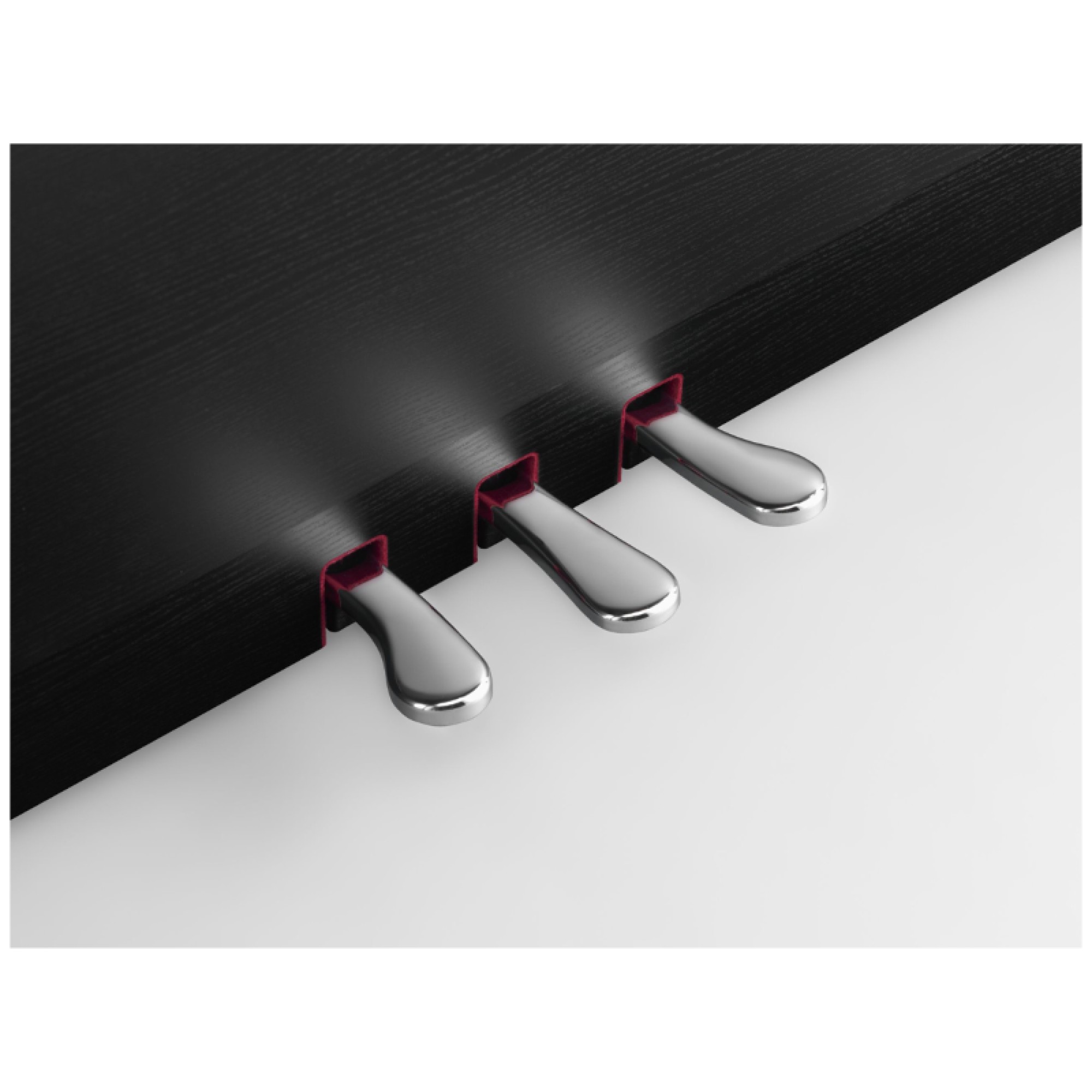 Classic Cantabile Secondo Fisarmonica per Bambini 8 Bass nera