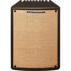 IBANEZ T80 II - Combo Transistor Per Chitarra Acustica