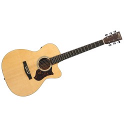 MARTIN OMCPA4 Performing Sonitone Road