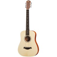 Taylor BT1